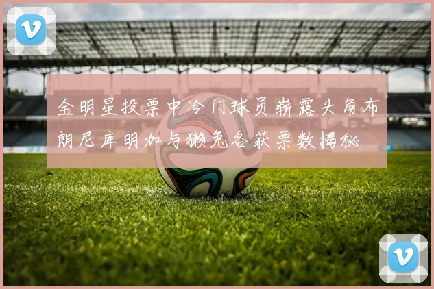 全明星投票中冷门球员崭露头角布朗尼库明加与獭兔各获票数揭秘
