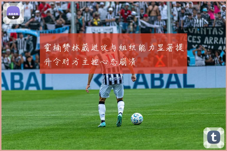 霍楠赞林葳进攻与组织能力显著提升令对方主控心态崩溃