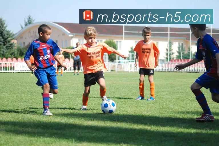 B体育APP 封面图